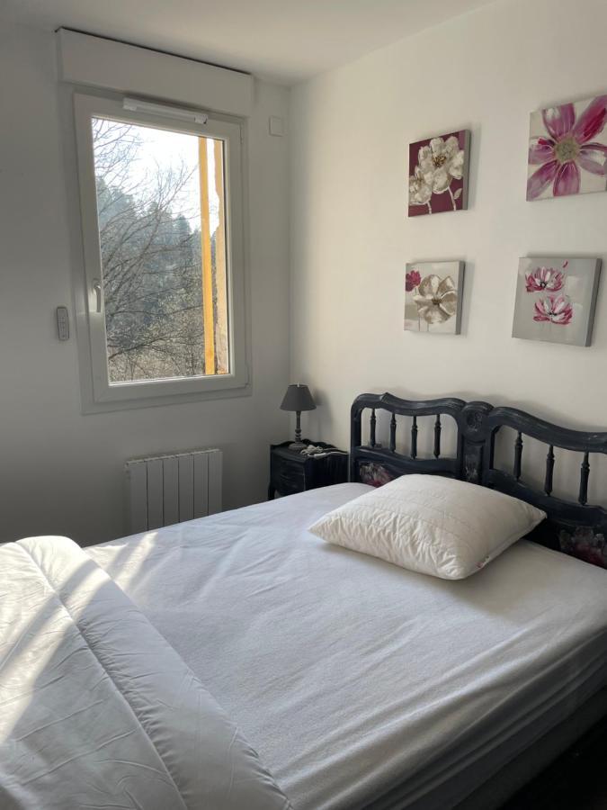 Gite Des Brimbelles La Neuveville-Devant-Lepanges Exterior foto